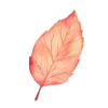 essense_leave-trns-new